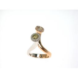 Stems Fancy Diamonds Ring
