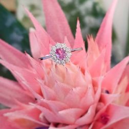 Anello Kate Zaffiro Rosa piccolo