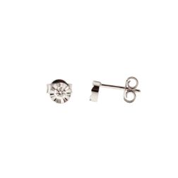 Earrings Faceted Circle 0,14ct