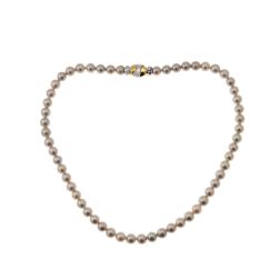 Gray Akoya pearls necklace oval box clasp Bicolor