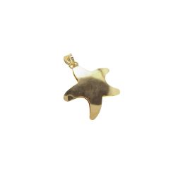 SeaStar Pendant with Satin Center Yellow Gold