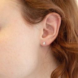 Photo of worn Earrings Faceted Circle 0,14ct