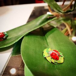 Ciondolo Coccinella in Oro Bianco su foglia in Bronzo