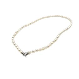6.00 - 6.50mm Akoya Pearl Necklace with small lobster clasp with Diamonds in White Gold
