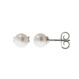 Earrings with 5.5mm freshwater pearls in white gold