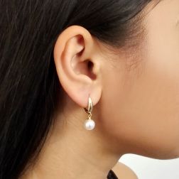 photo of worn Classic Hook Earrings 7.5mm Freshwater Pearl in Yellow Gold