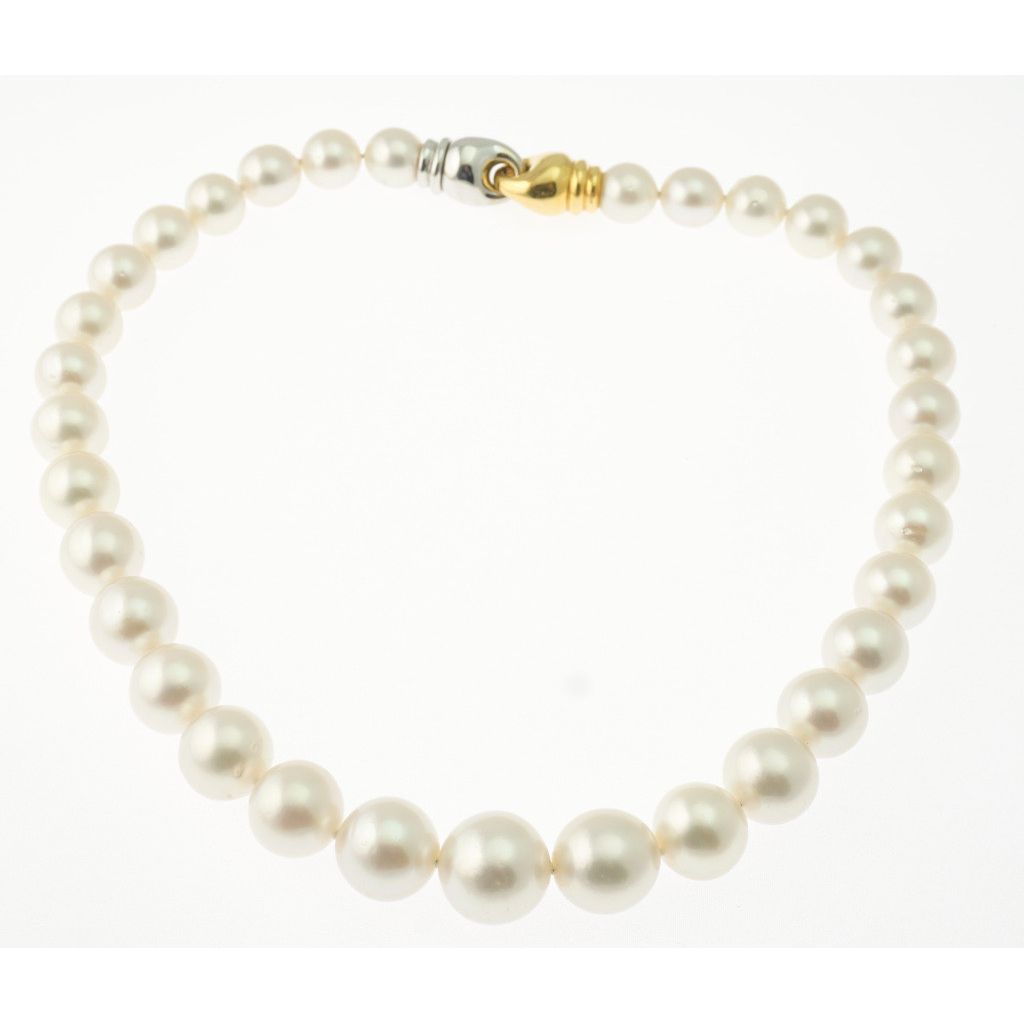Australian Pearls Scalar Necklace