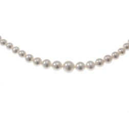 Girocollo Perle Scalare 9.7mm - 3.3mm - Chiusura moschettone Oro Bianco