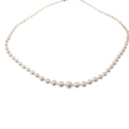Girocollo Perle Scalare 9.7mm - 3.3mm - Chiusura moschettone Oro Bianco