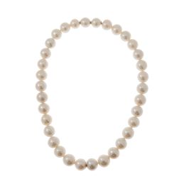 Collana Perle Freshwater 13.5-14mm - 11.50mm con susta interna in Oro Bianco 18kt